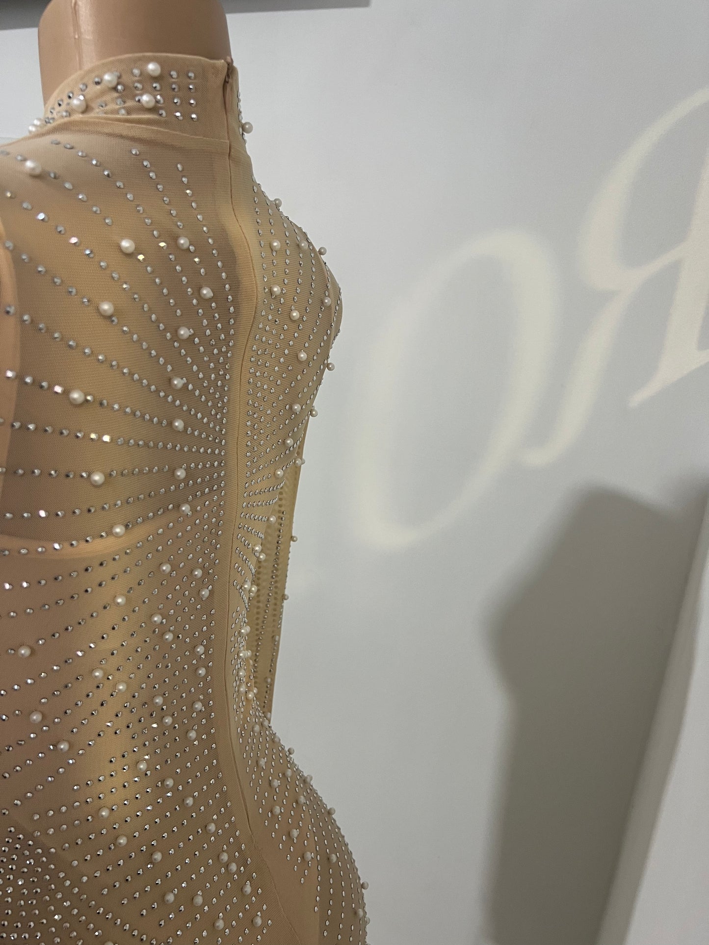 Ellie Long Dress (Nude)