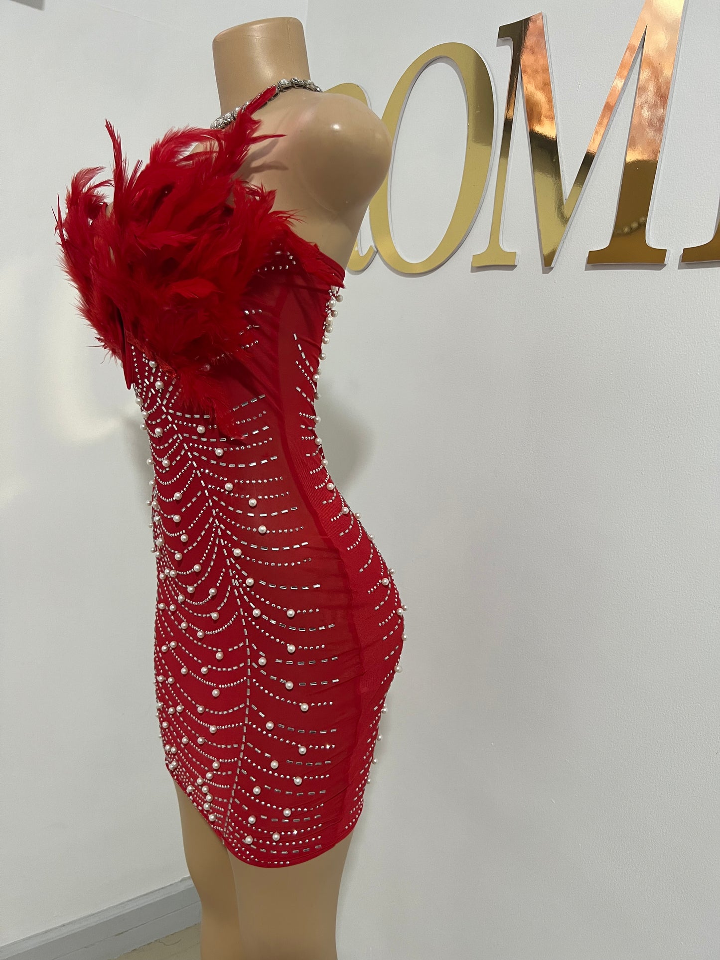 Elle Feather Crystal Dress (Red)