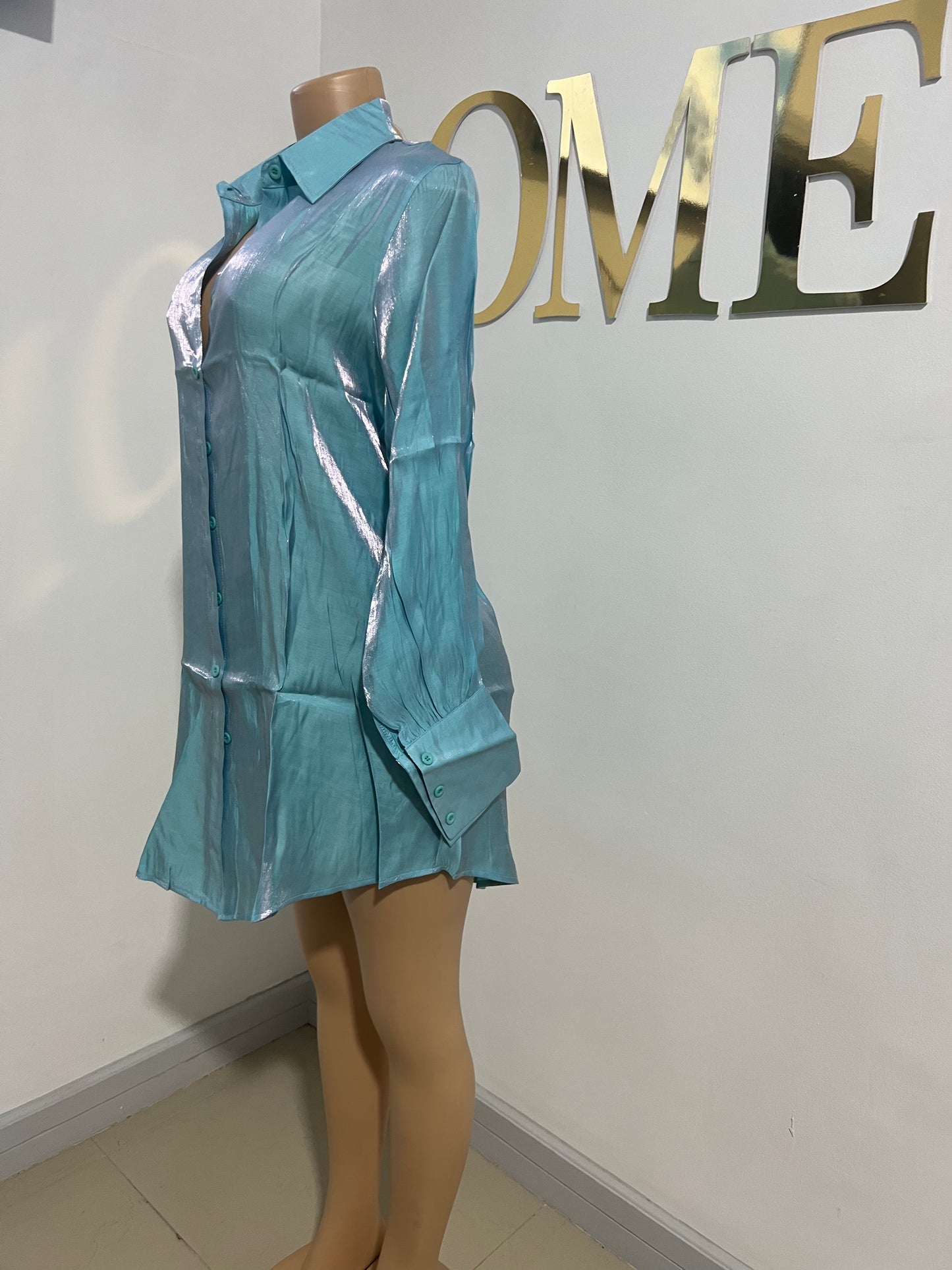 Claire Shirt Dress (Blue)