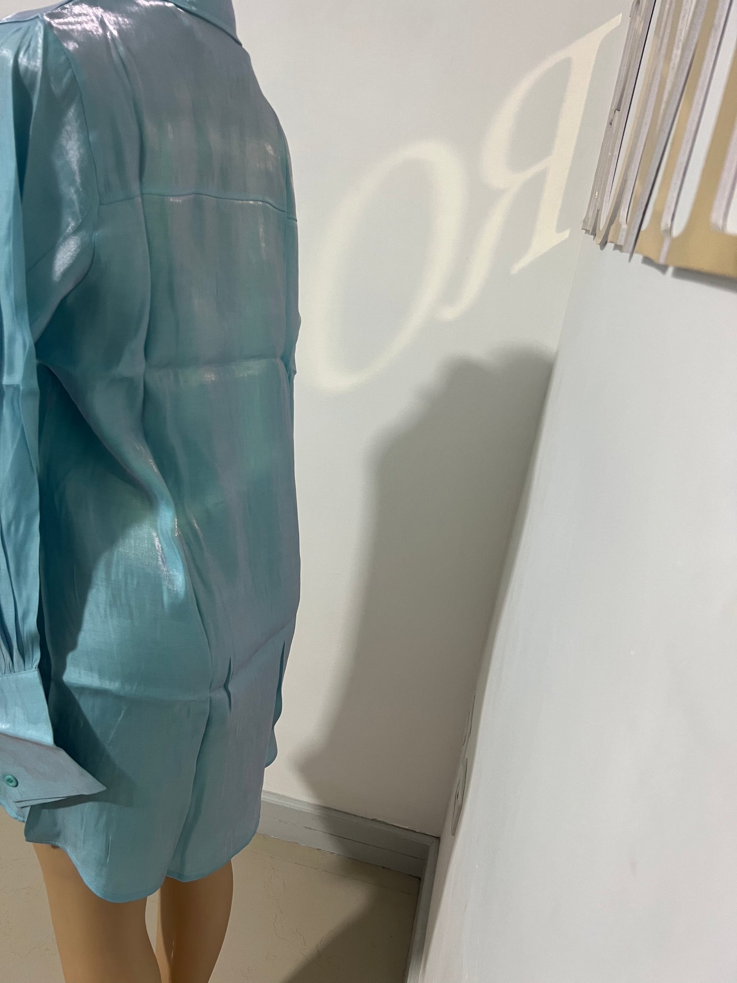 Claire Shirt Dress (Blue)