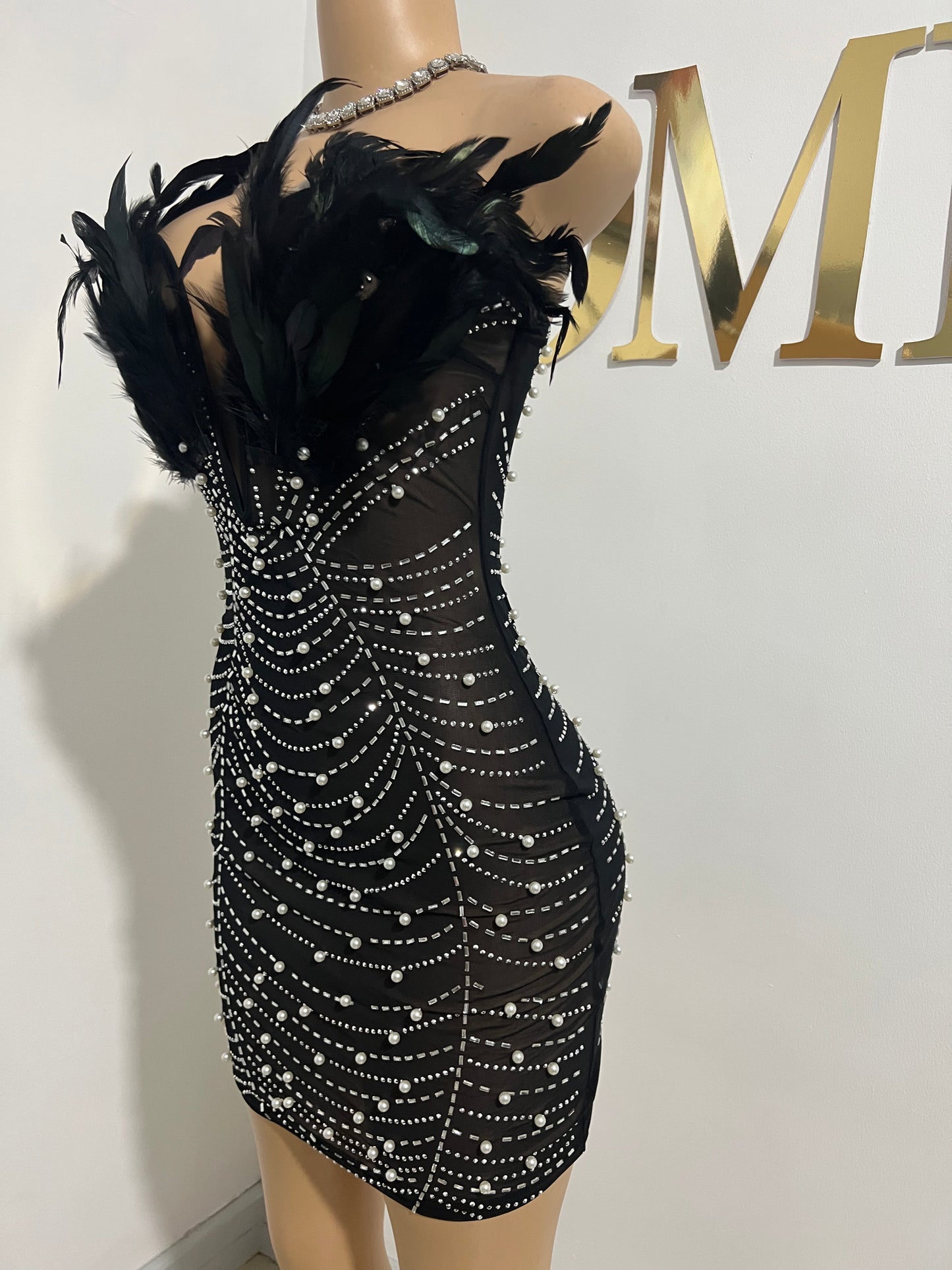 Elle Feather Crystal Dress (Black)