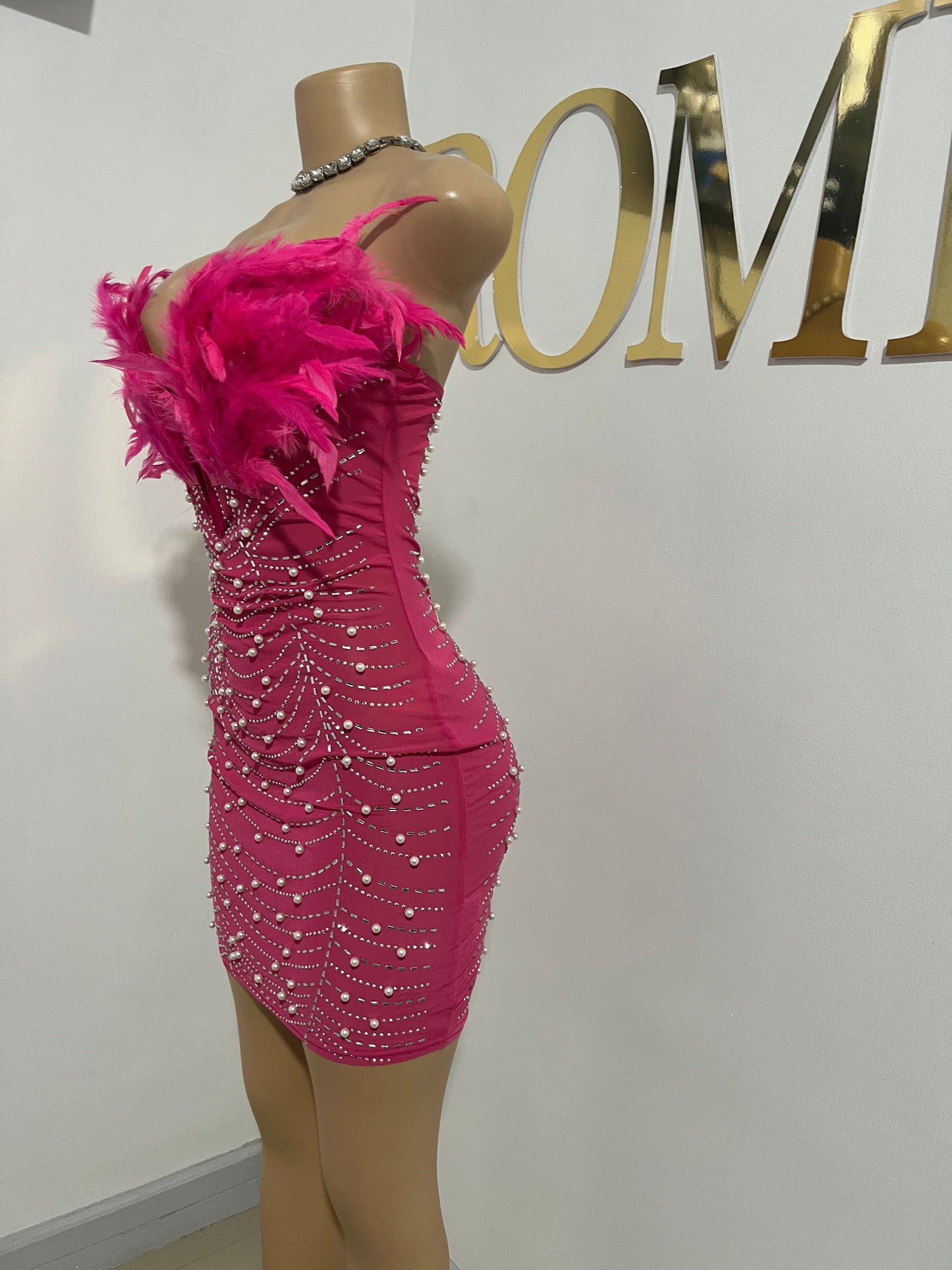 Elle Feather Crystal Dress (Pink)