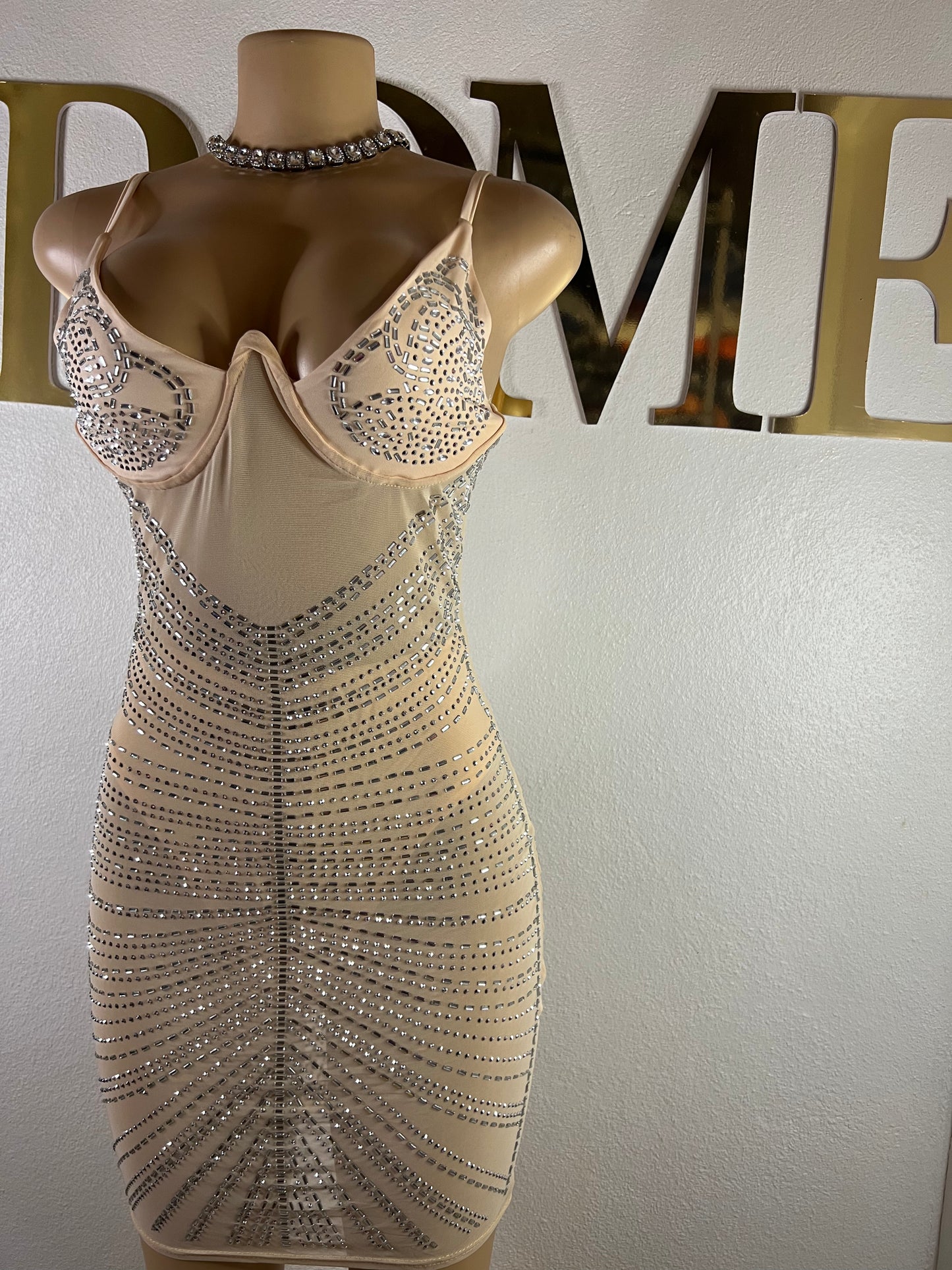 Medusa Party Mesh Dress (Nude)