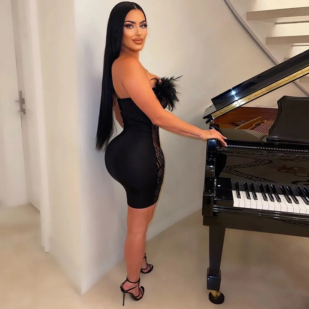 Krissy Feather Dress (Black)