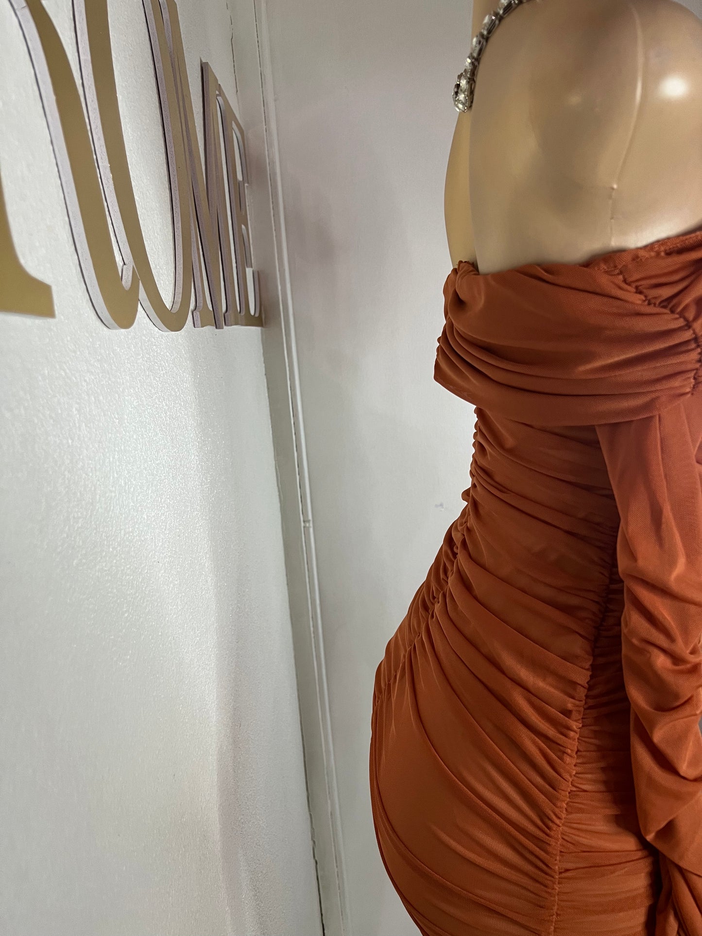 Porsha Long Sleeve Dress (Brown)