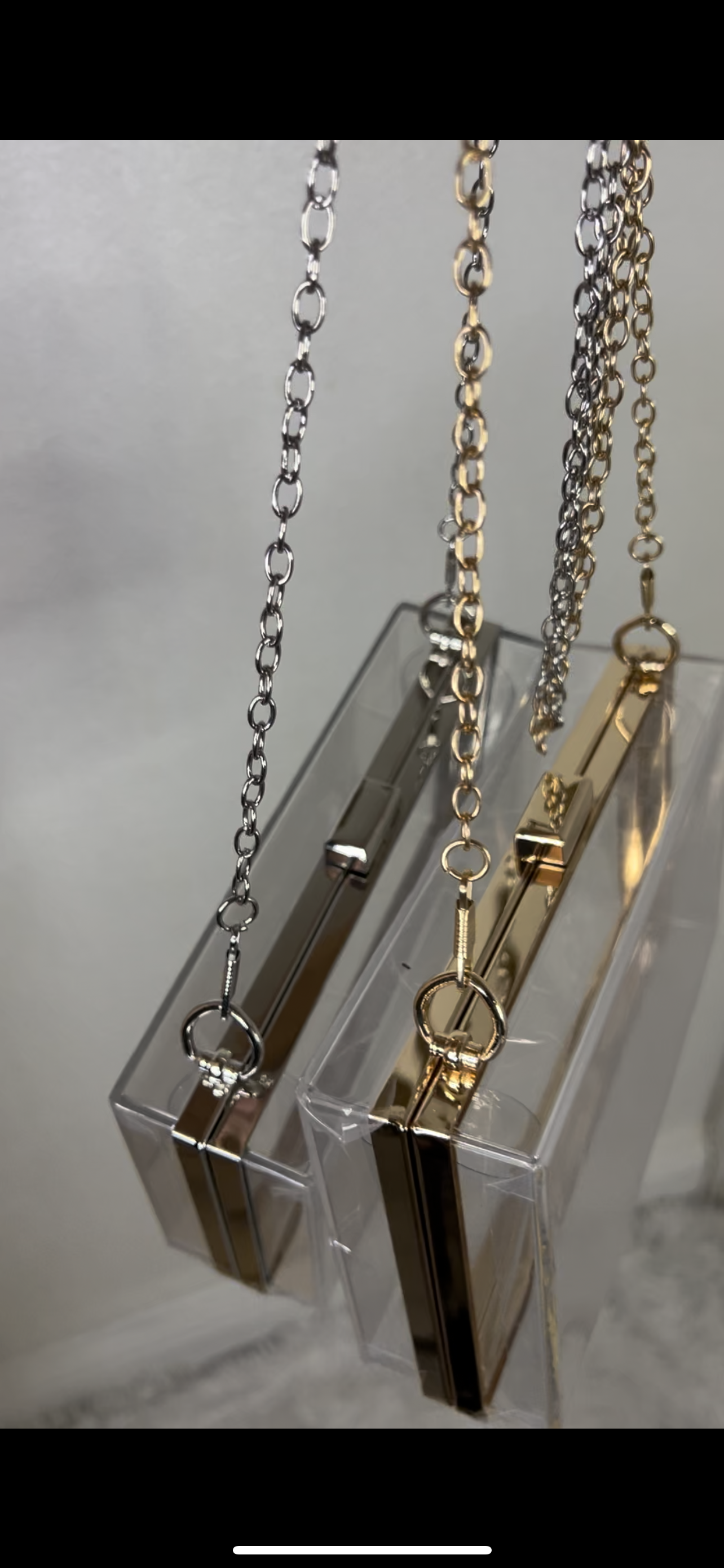 Truth Transparent Purse (Gold)