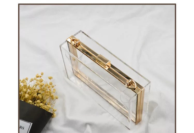Truth Transparent Purse (Gold)