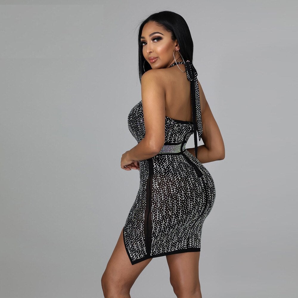 Alicia Embellished Dress