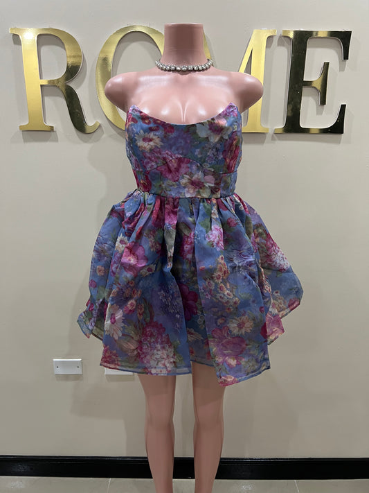 Princess Diana Floral Dress (Blue)
