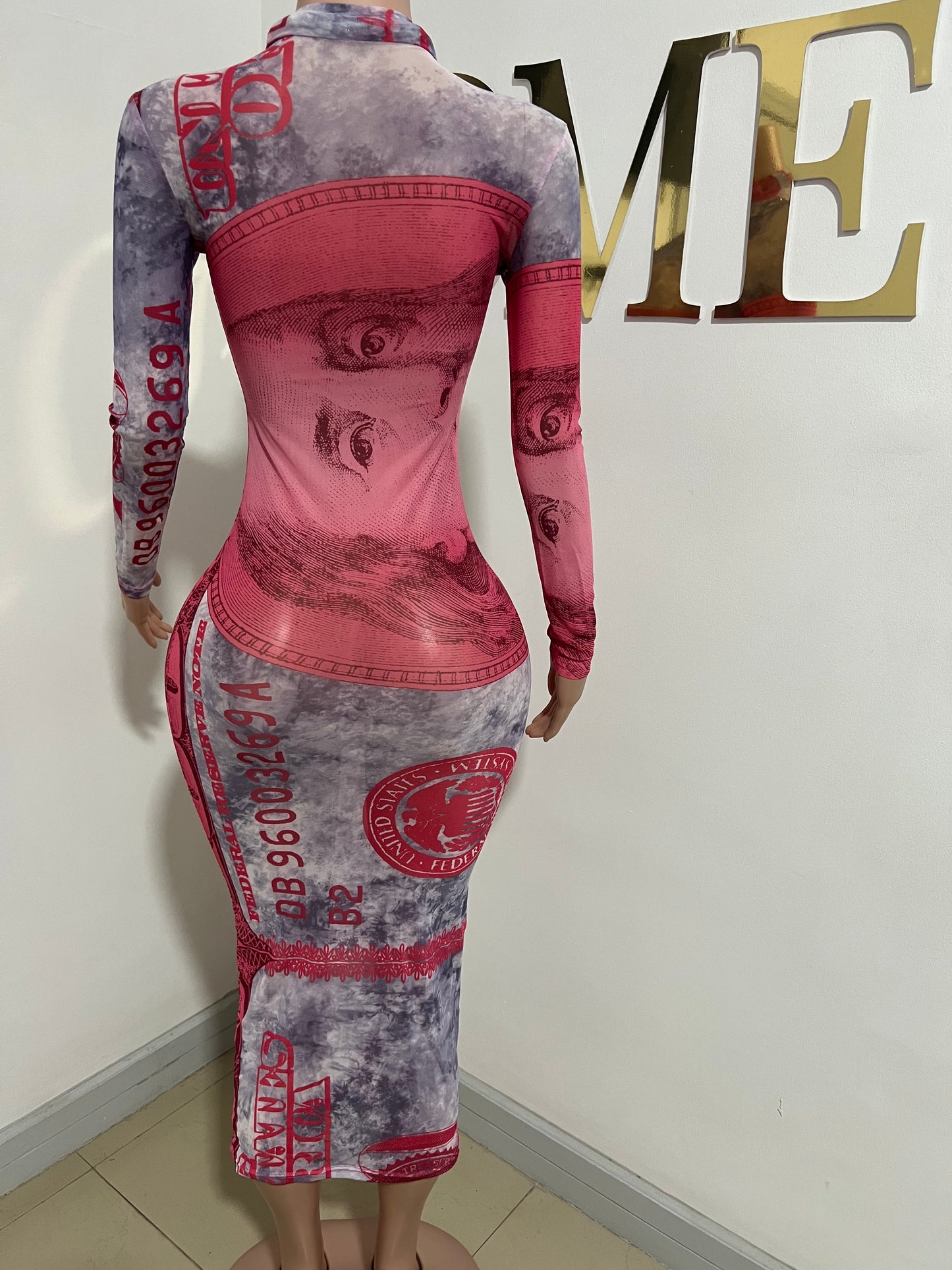 Money Print Mesh Dress (Pink)