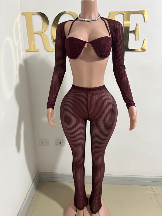 Kim Mesh Tights 3 Pcs Set (Burgundy)