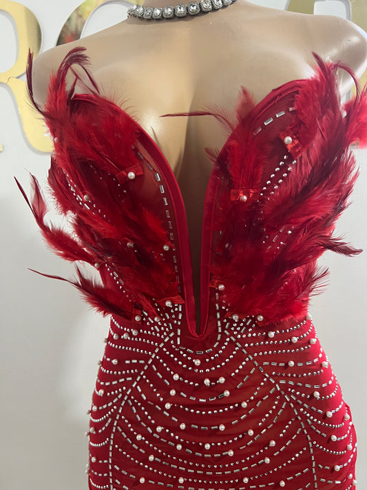 Elle Feather Crystal Dress (Darker Red)