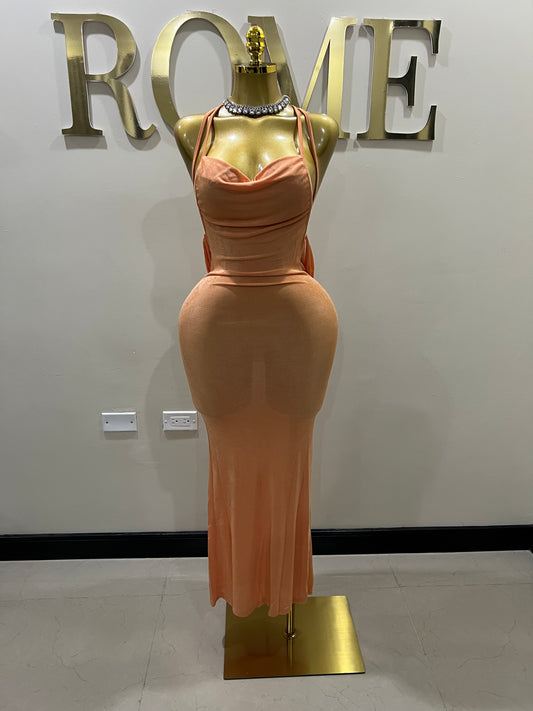 Carey True Dress (Orange)