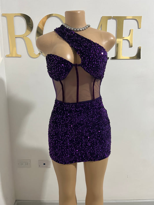 Ciara Sequin Dress (Purple)