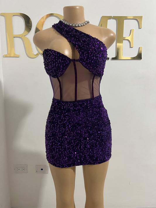 Ciara Sequin Dress (Purple)