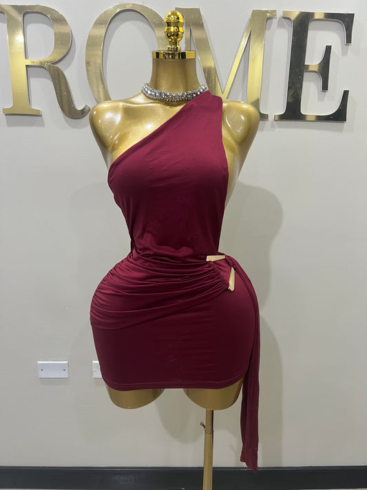 Angle Super Mini Allegra Dress (Burgundy)