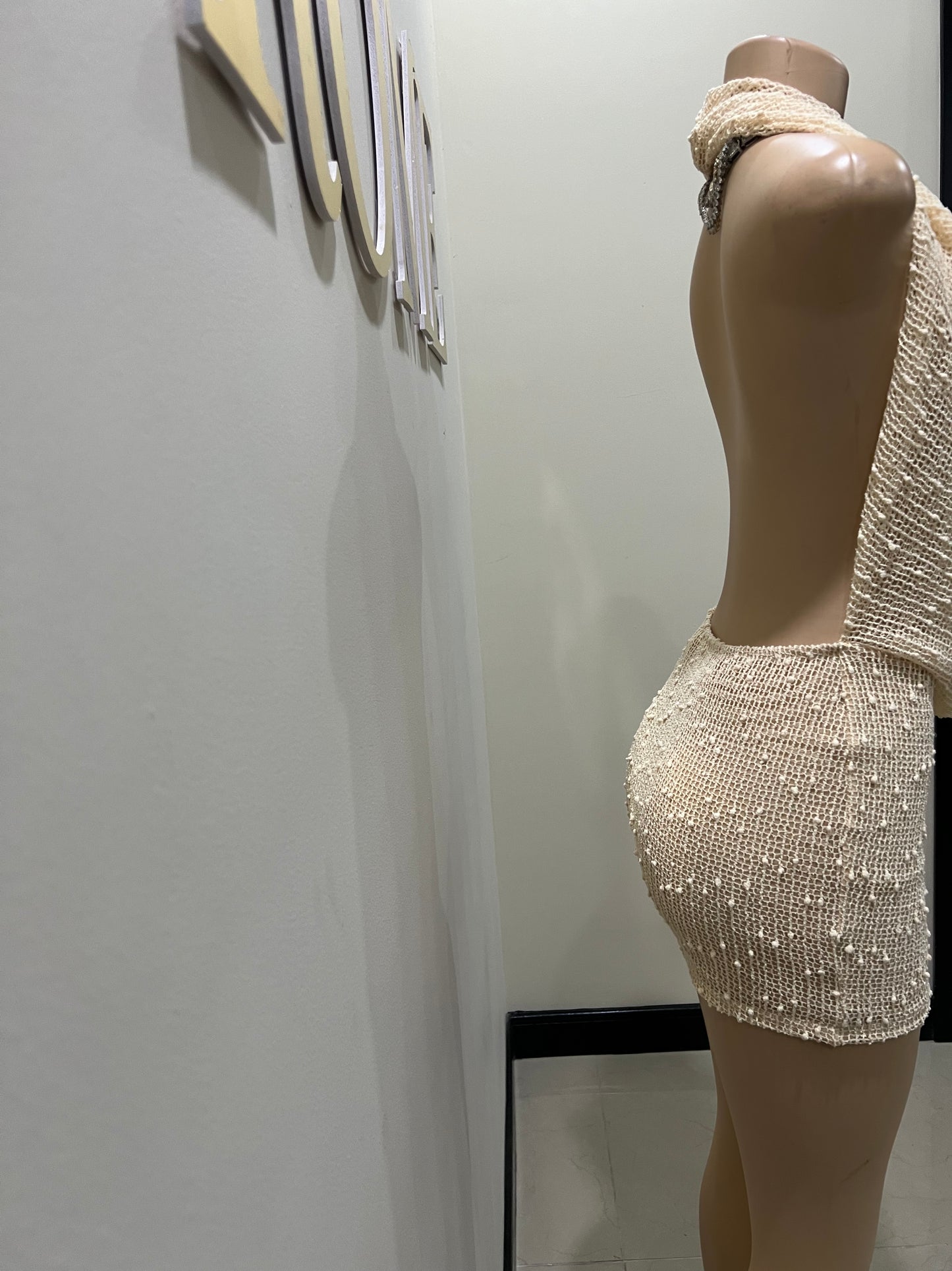 Cassie See Through Petal Dress (Beige)