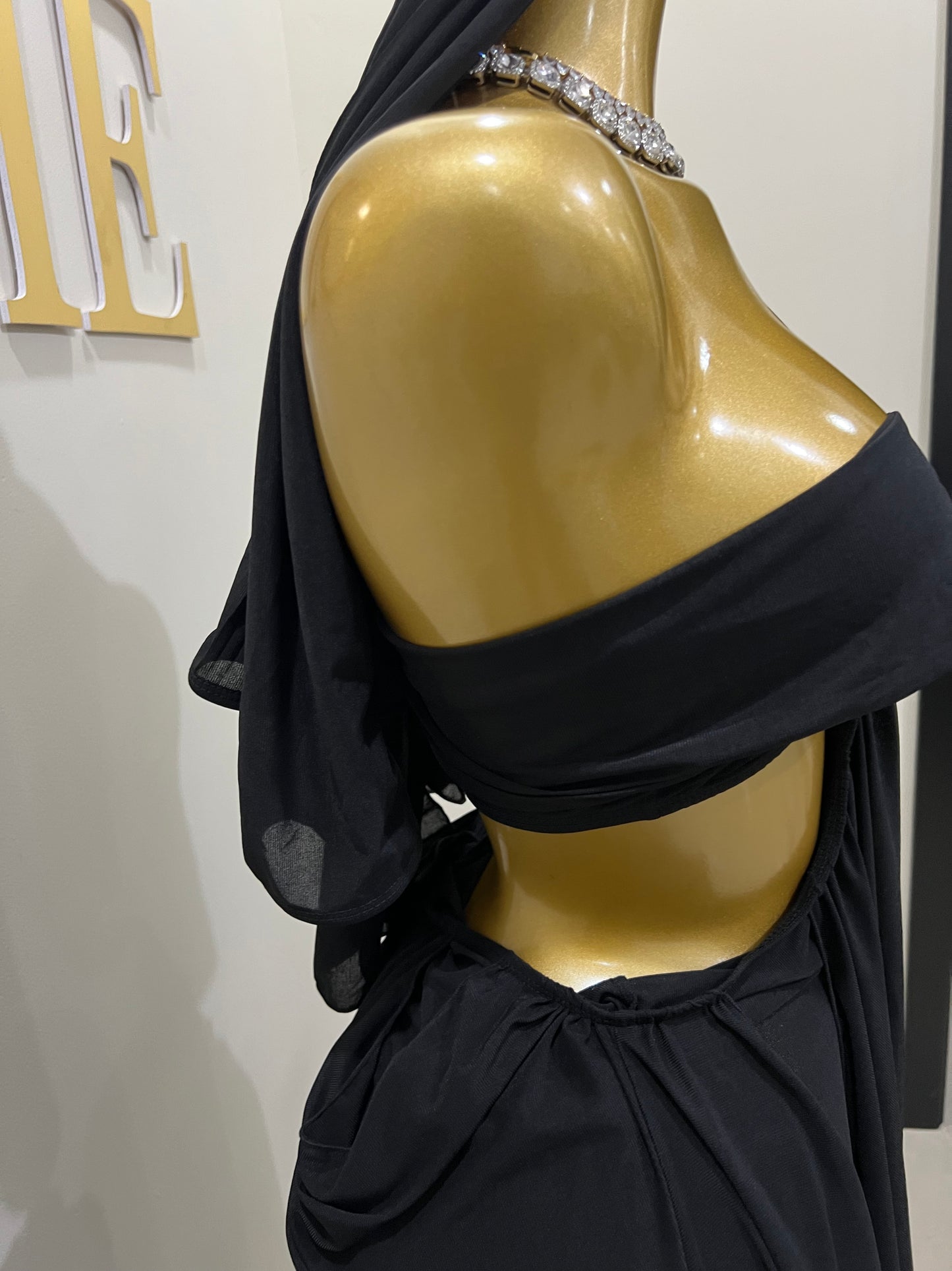 Ruby Mesh Dress with Arm Pcs (Black)