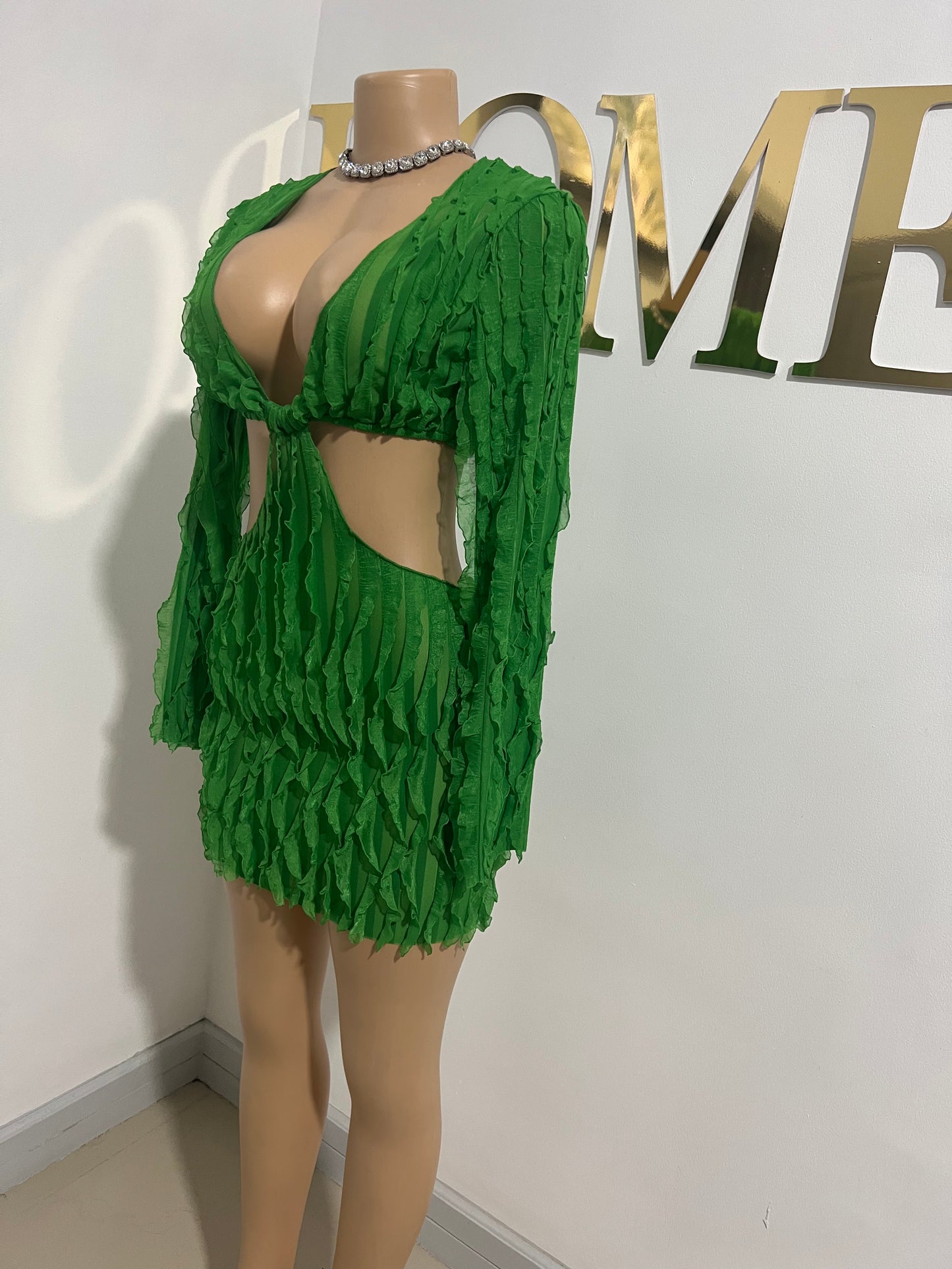 Lily Long Sleeve Dress (Green)