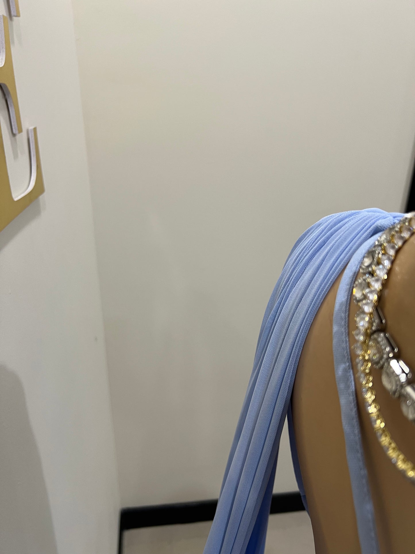 Michelle Backless Allegra Mesh Dress (Blue)