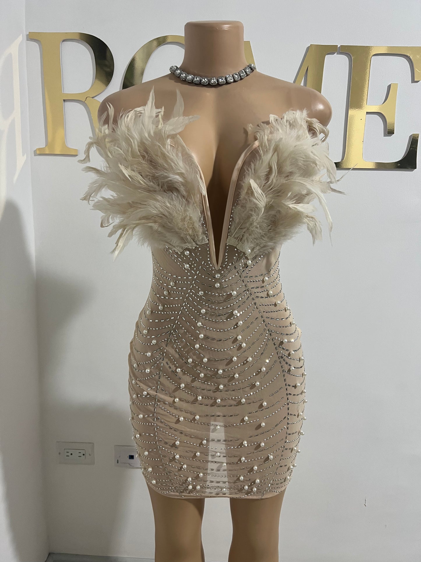 Elle Feather Crystal Dress (Nude)