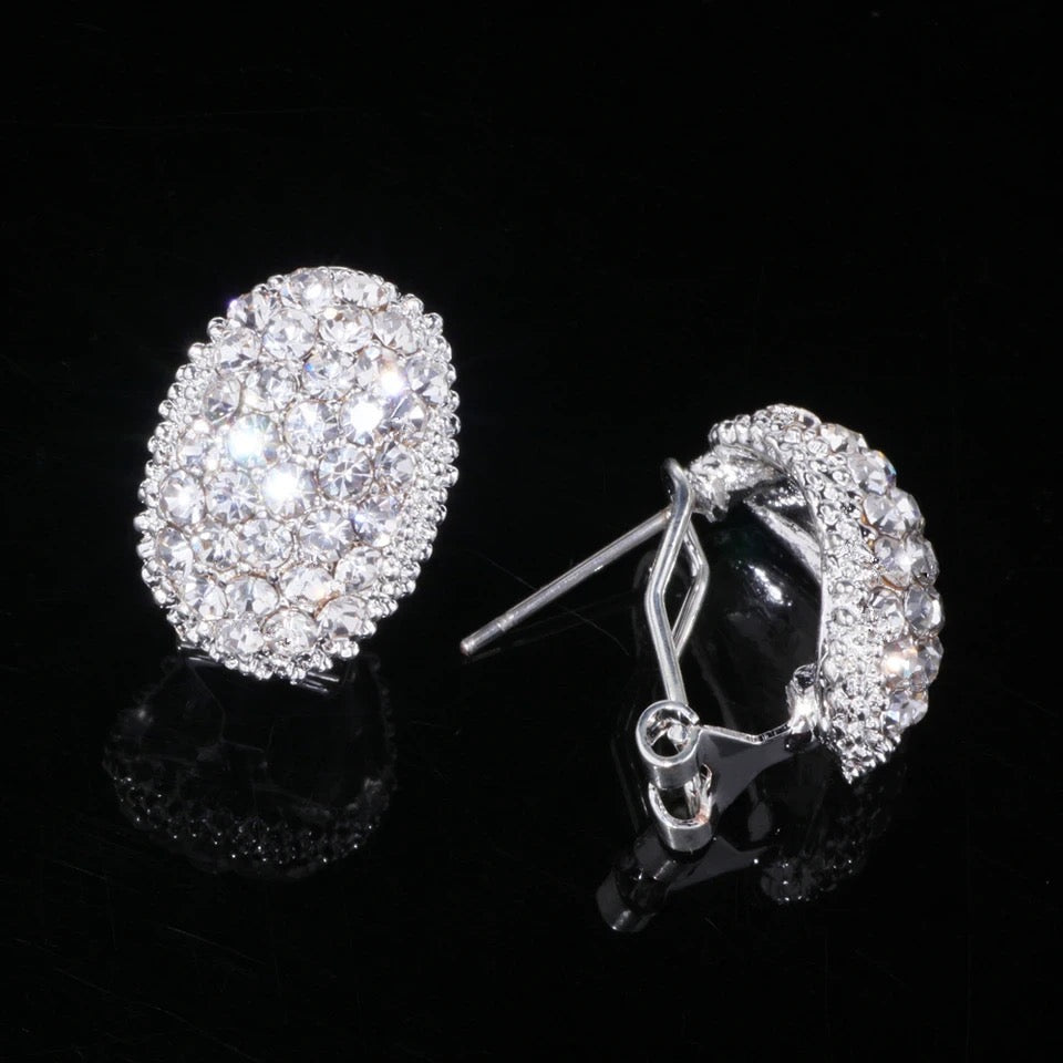 Alexis Crystal Knob Earrings (Silver)