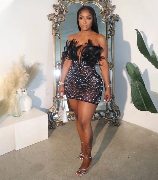 Elle Feather Crystal Dress (Black)