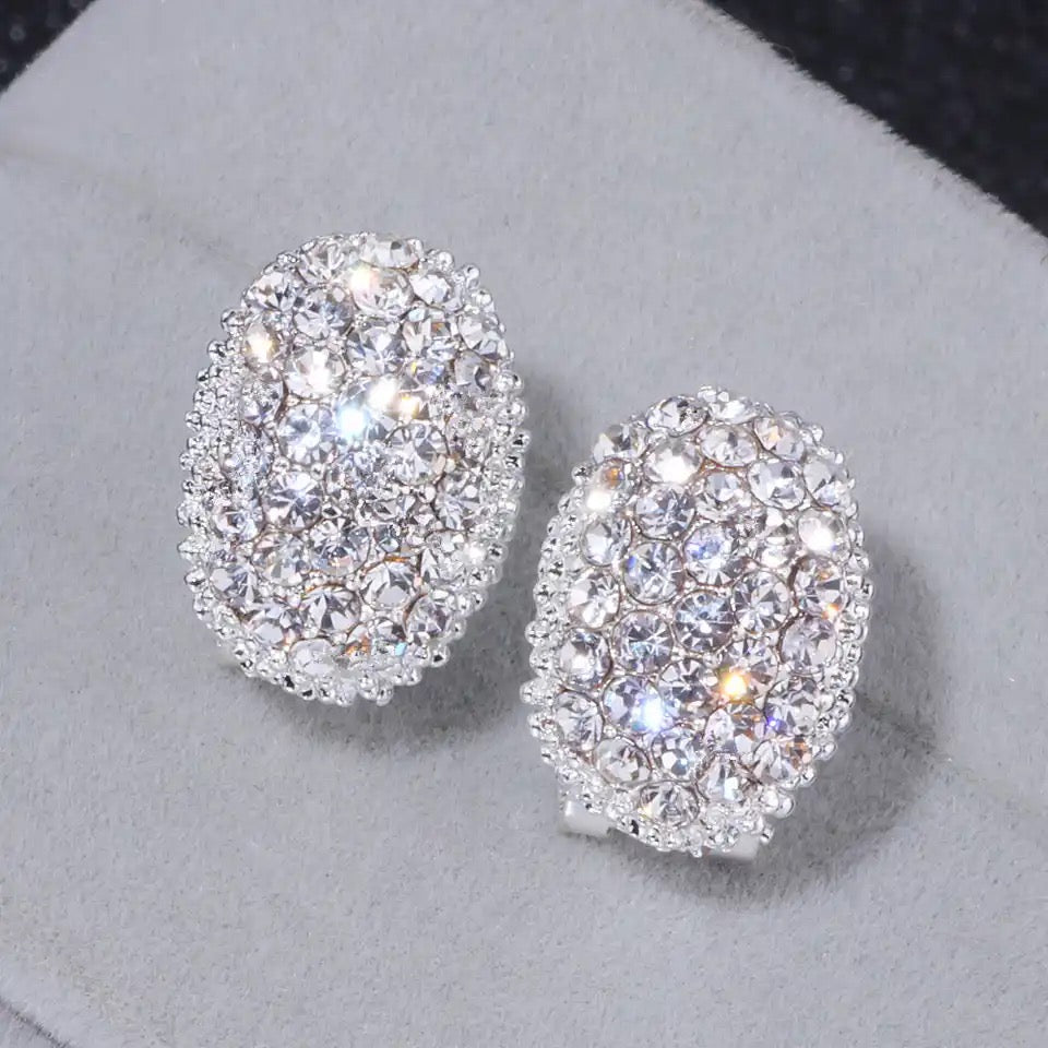 Alexis Crystal Knob Earrings (Silver)