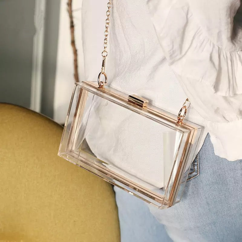 Truth Transparent Purse (Gold)