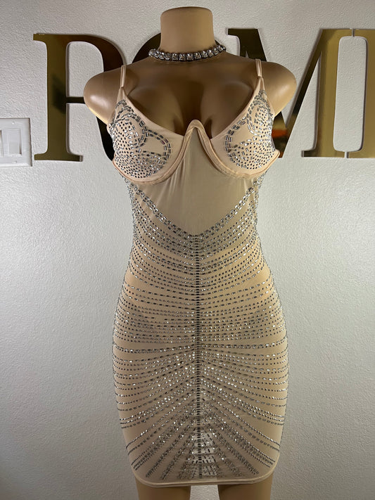 Medusa Party Mesh Dress (Nude)