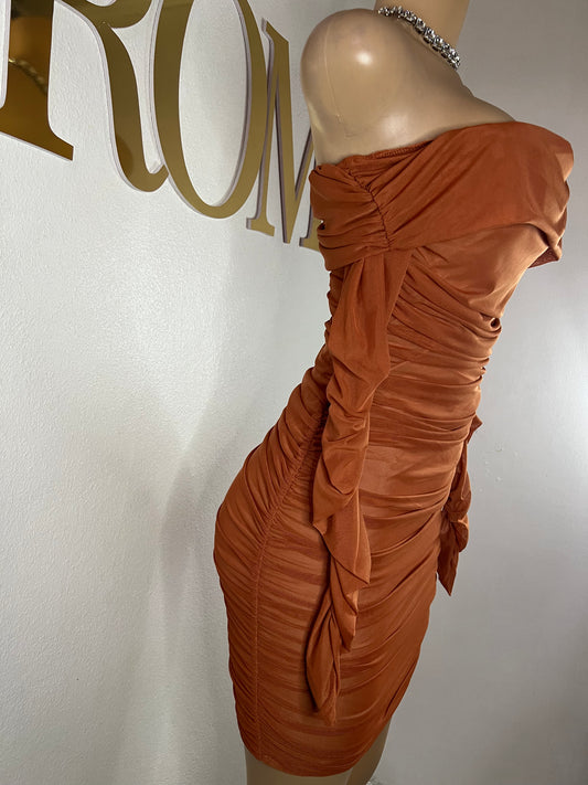 Porsha Long Sleeve Dress (Brown)
