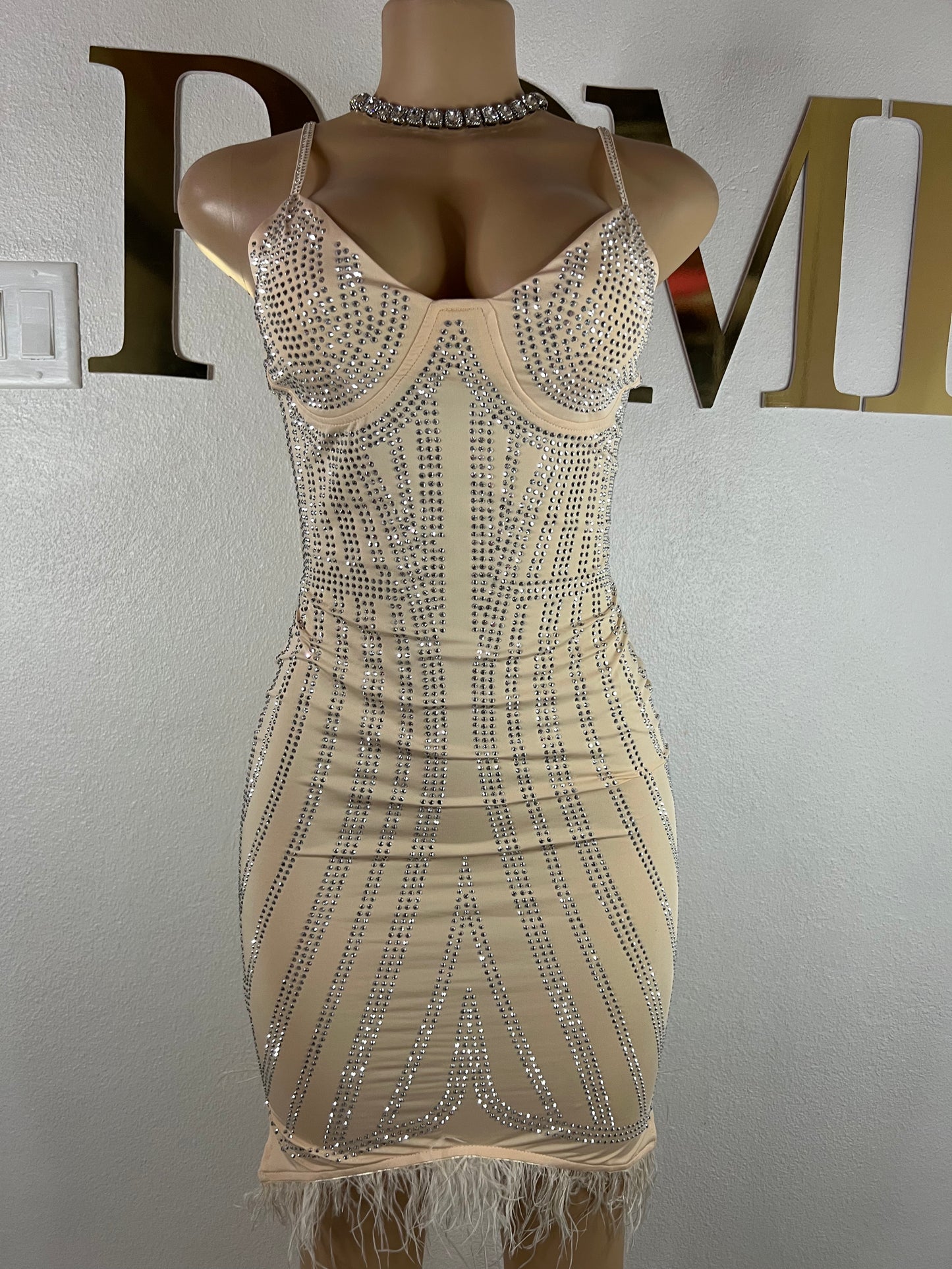 Cherri Vibe Dress (Nude)