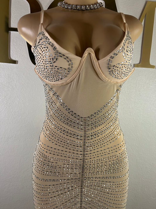 Medusa Party Mesh Dress (Nude)