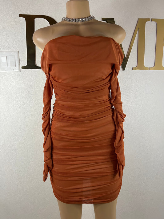 Porsha Long Sleeve Dress (Brown)